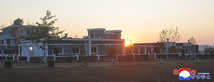 naenara-image