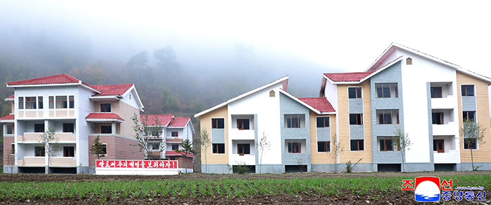naenara-image